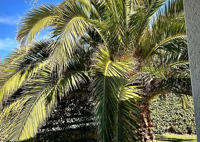 Vakantiehuis Les Palmiers 7 Personnes Plages Du Debarquement Grandcamp-Maisy
