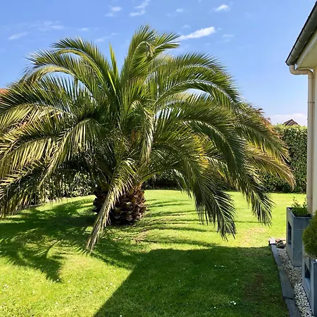 Ferienhaus Les Palmiers 7 Personnes Plages Du Debarquement
