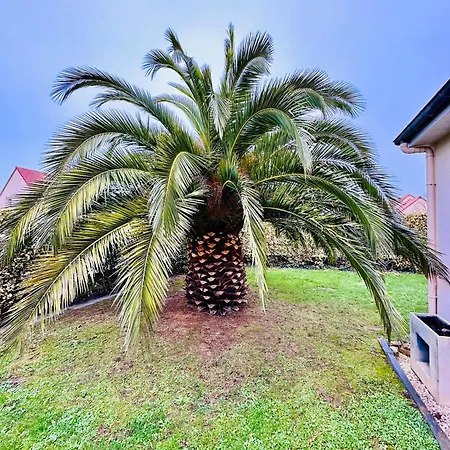 Les Palmiers 7 Personnes Plages Du Debarquement Ferienhaus Grandcamp-Maisy