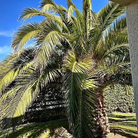Ferienhaus Les Palmiers 7 Personnes Plages Du Debarquement Grandcamp-Maisy