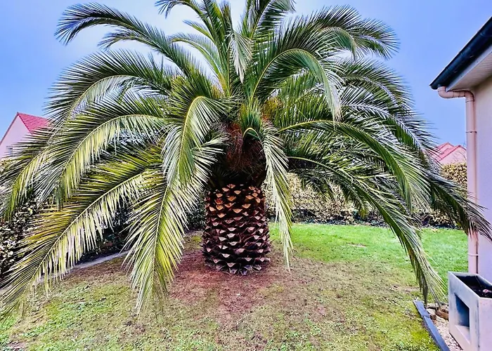 Les Palmiers 7 Personnes Plages Du Débarquement Casa vacanze Grandcamp-Maisy